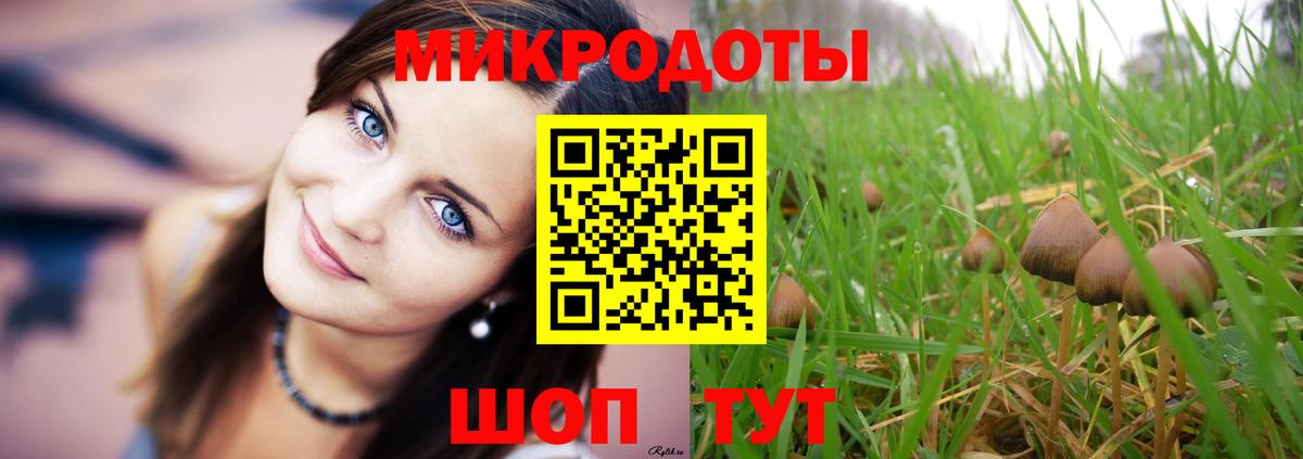Псилоцибиновые грибы Psilocybine cubensis Еманжелинск