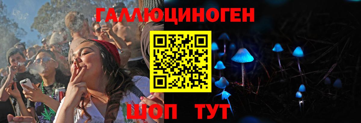 Еманжелинск  Галлюциногенные грибы Cubensis  Вход с VPN 